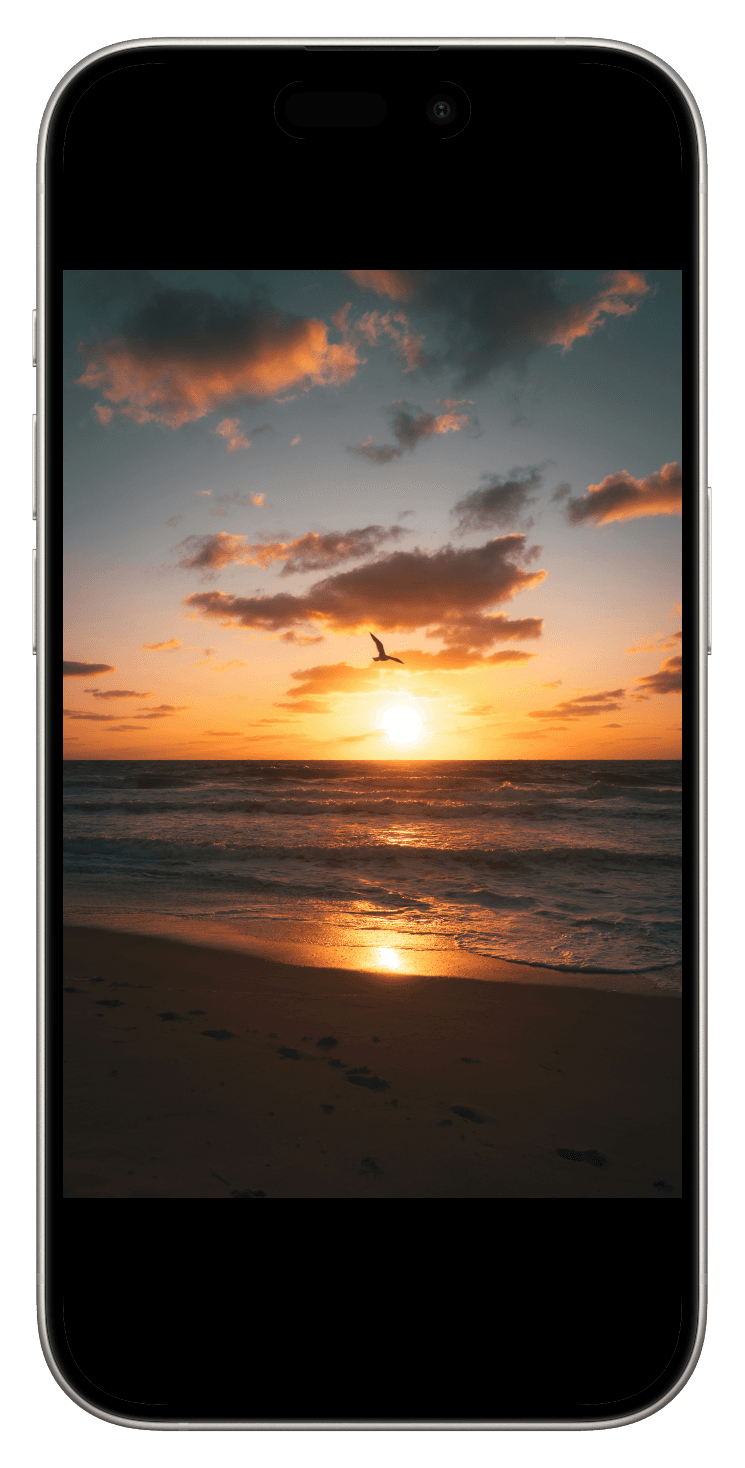 The LinkYourTicket app on a smartphone
